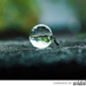 Meet your Posher, Flyingolive27